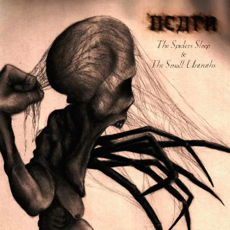 The Spiders Sleep & The Small Untruths cover