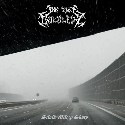 Silnik milczy skuty cover