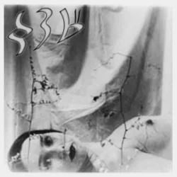 Religion, Race & Revolution cover