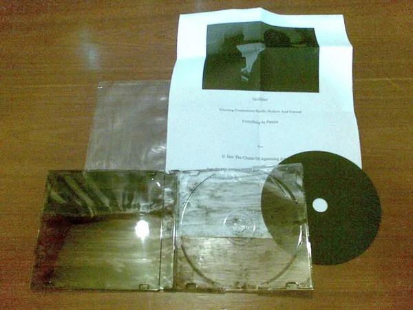 Whirling Postmortem Horde, Hollow and Eternal / II: Into the Chasm of Agonising Apparitions cover