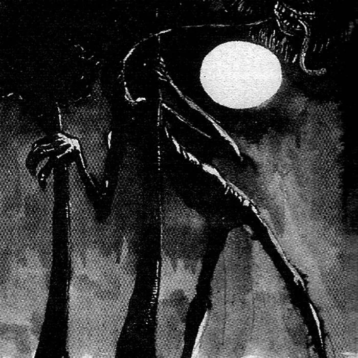 Perpetual Screech cover