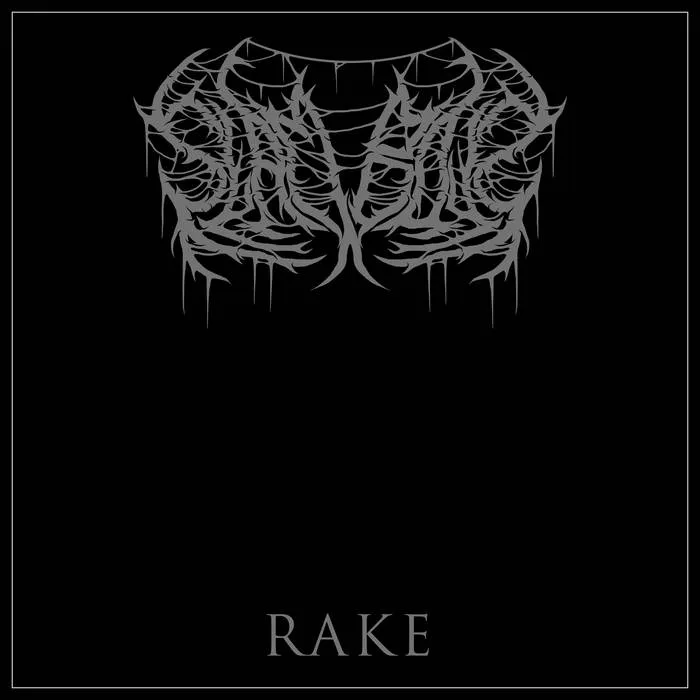 Rake cover