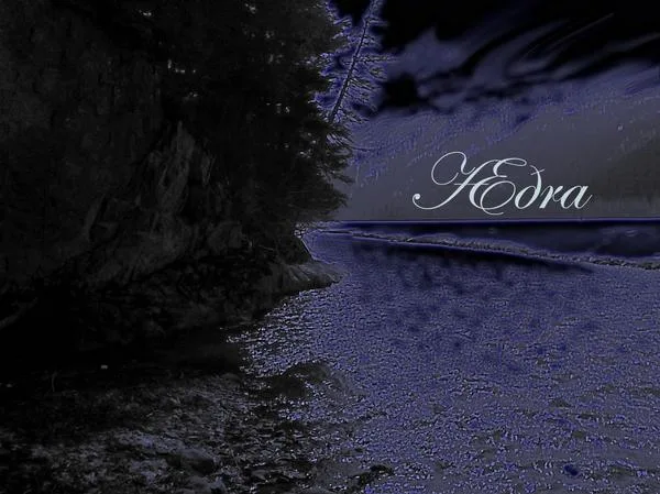 Limbs of the Sky cover