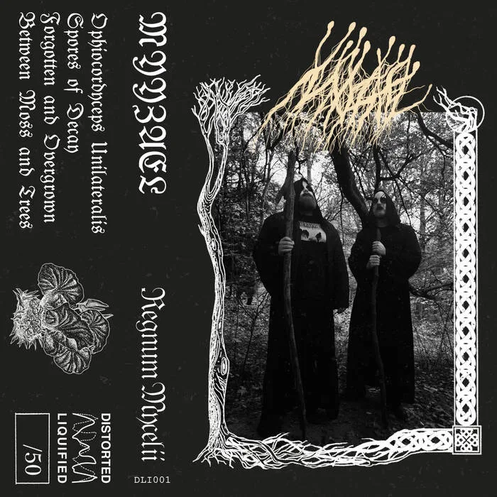 Regnum Mycelii cover