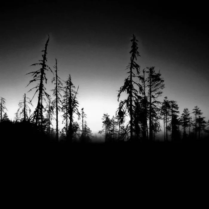 The Meadows of Silence cover