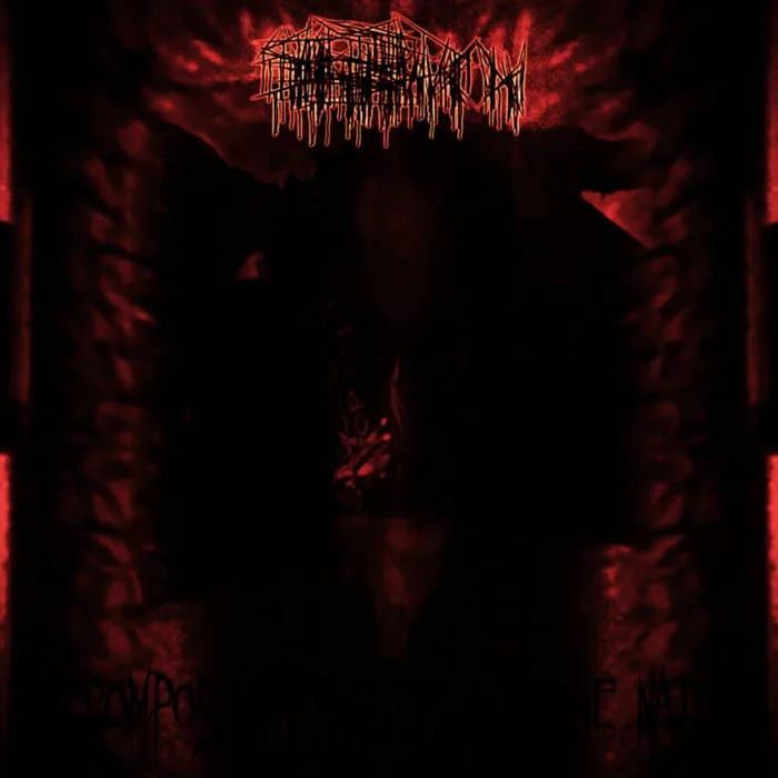 Decomposition and Its Feminine Nature cover