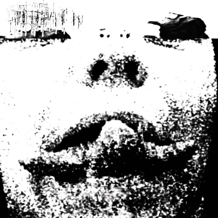 Three Tongued Siren cover
