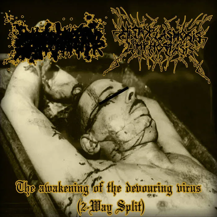 The Awakening of the Devouring Virus (2-Way Split) cover