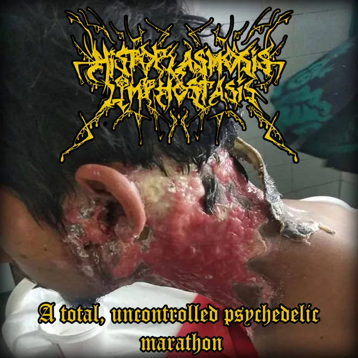 A Total, Uncontrolled Psychedelic Marathon cover