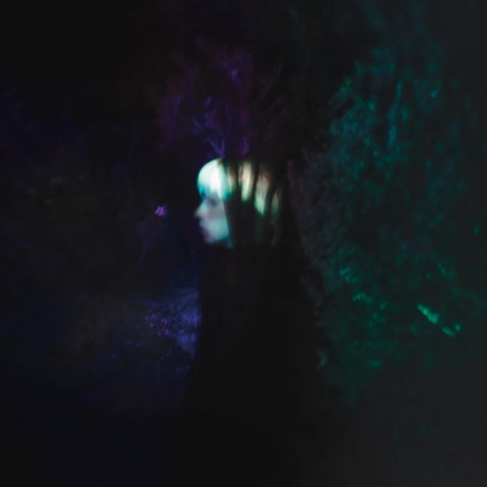 The Living Weight of the World cover