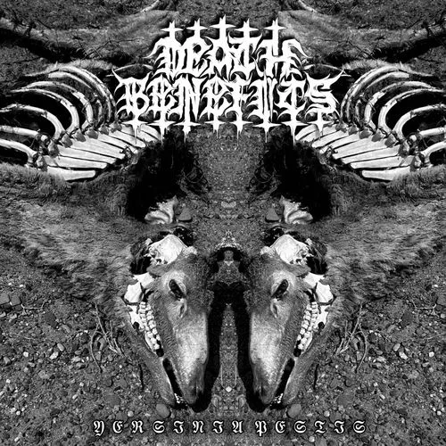 Yersinia Pestis cover