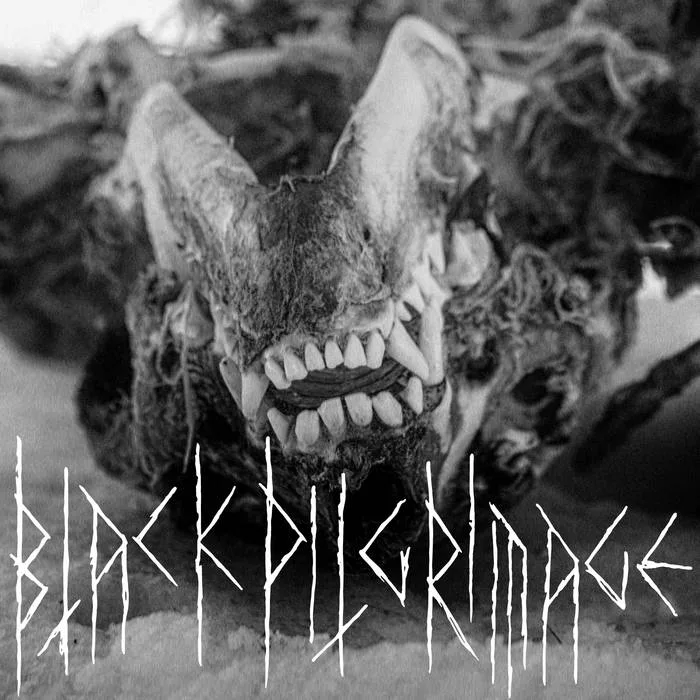 Contaminated by Evil cover