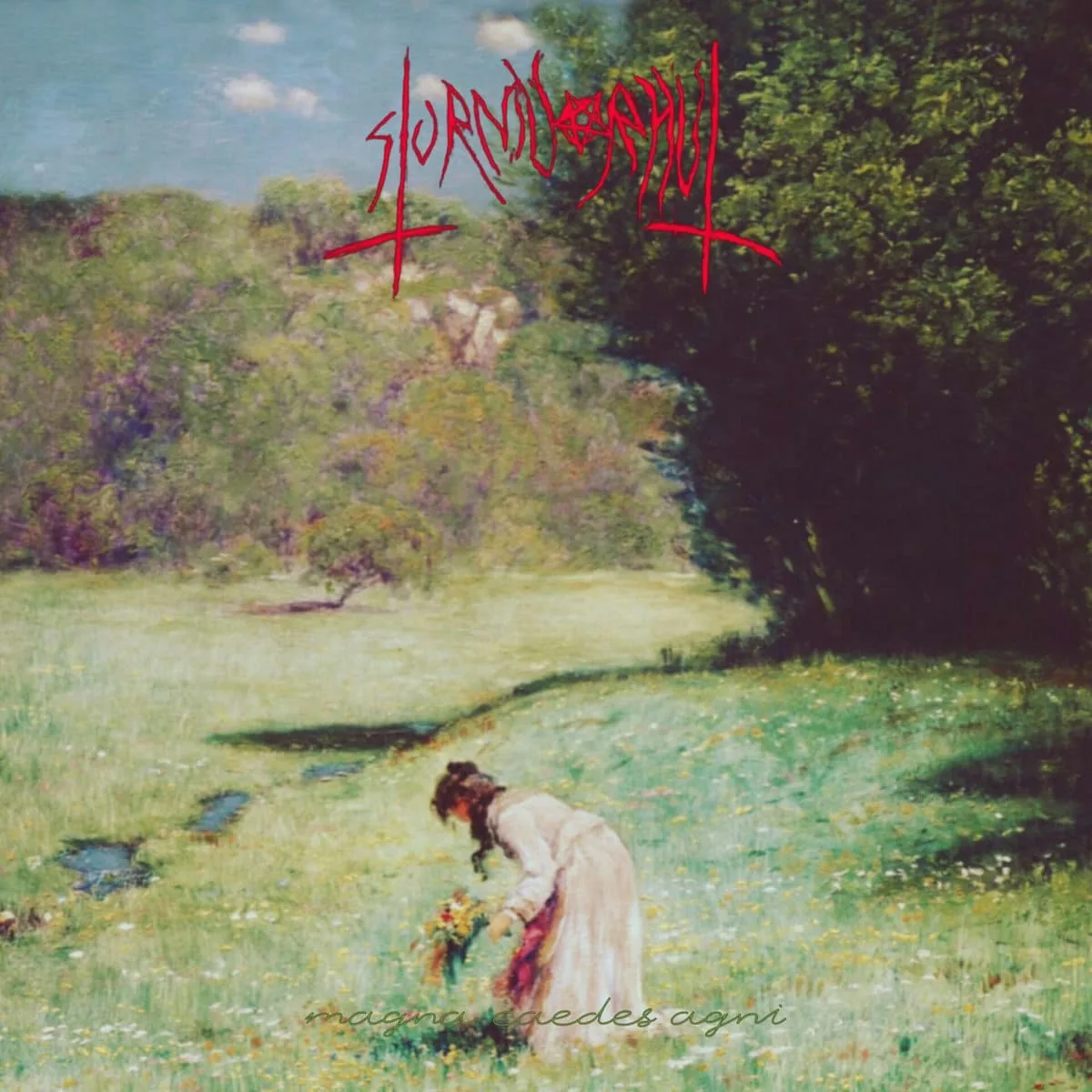 Magna Caedes Agni cover