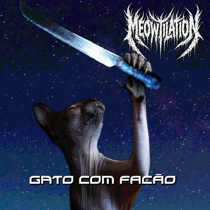 Gato com facão cover
