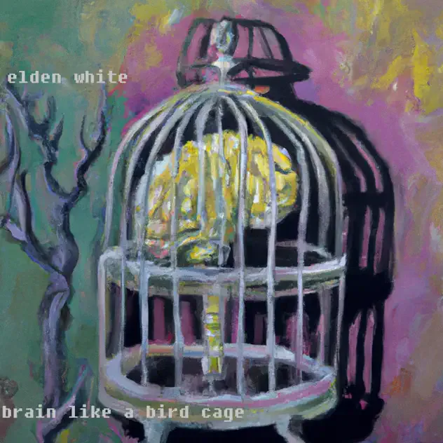 Brain Like a Bird Cage cover