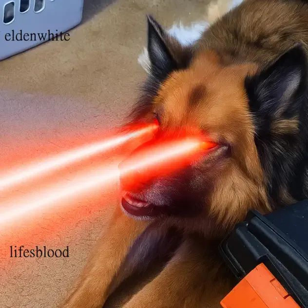 Lifesblood cover