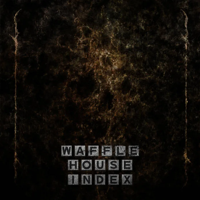 Waffle House Index cover