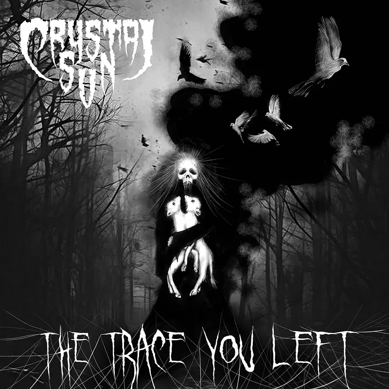 The Trace You Left cover