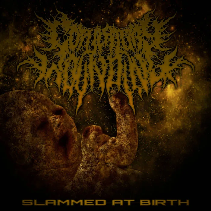 Slammed at Birth cover