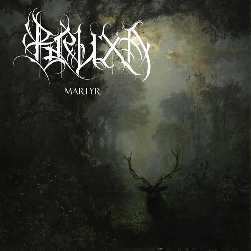 Martyr cover