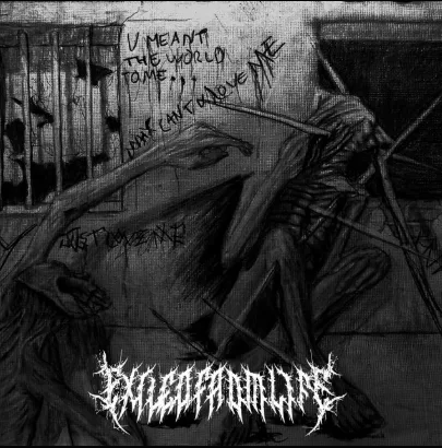 Ever Lasting Wounds cover