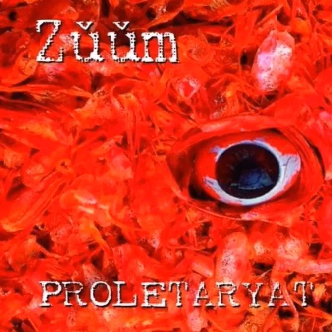 Zǔǔm cover