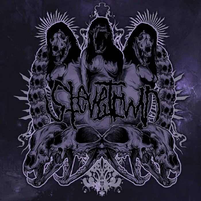 Discography cover
