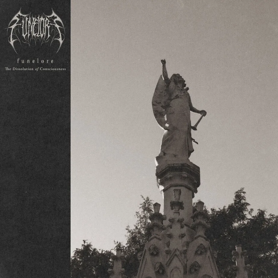 The Dissolution of Consciousness cover