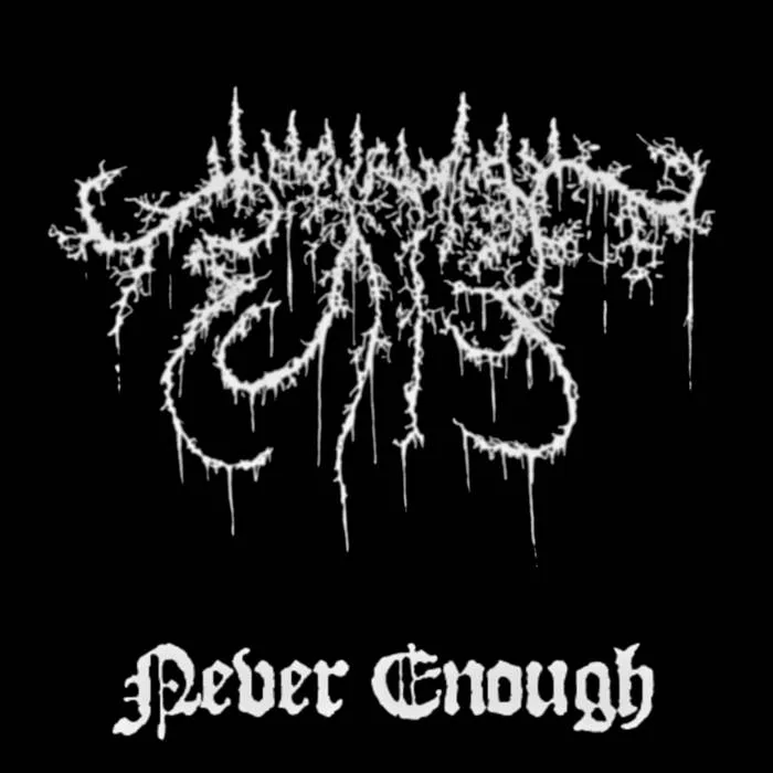 Never Enough cover
