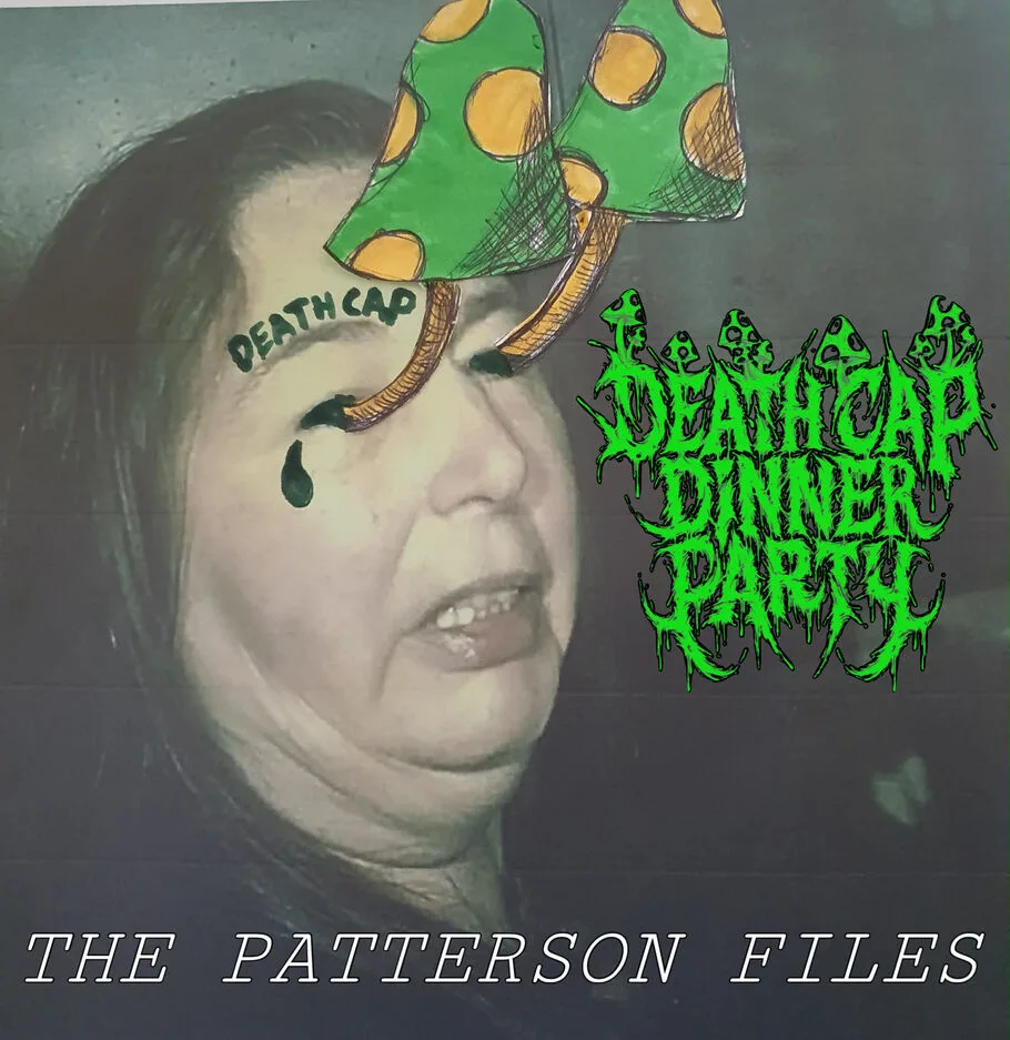 The Patterson Files cover