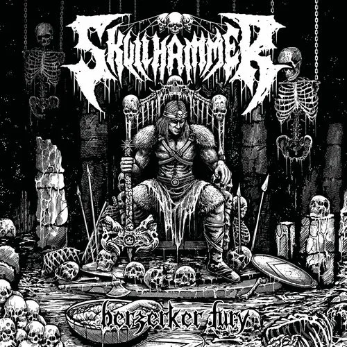 Berzerker Fury cover