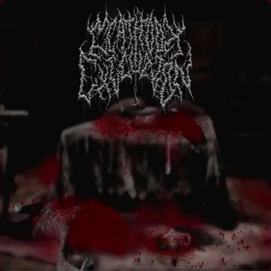 Display of Chopped Up Sluts cover