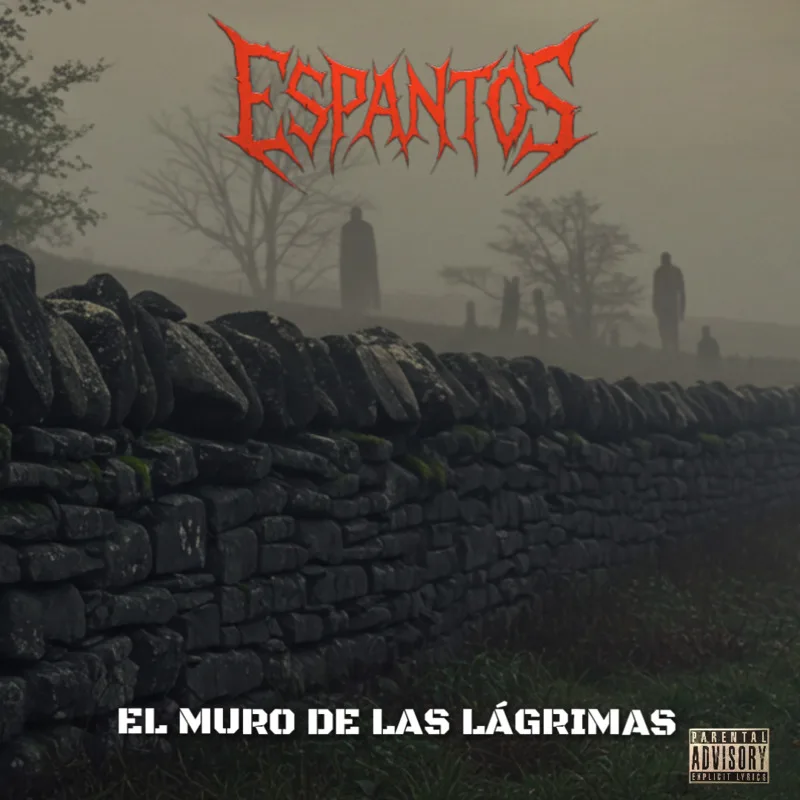 El muro de las lágrimas cover