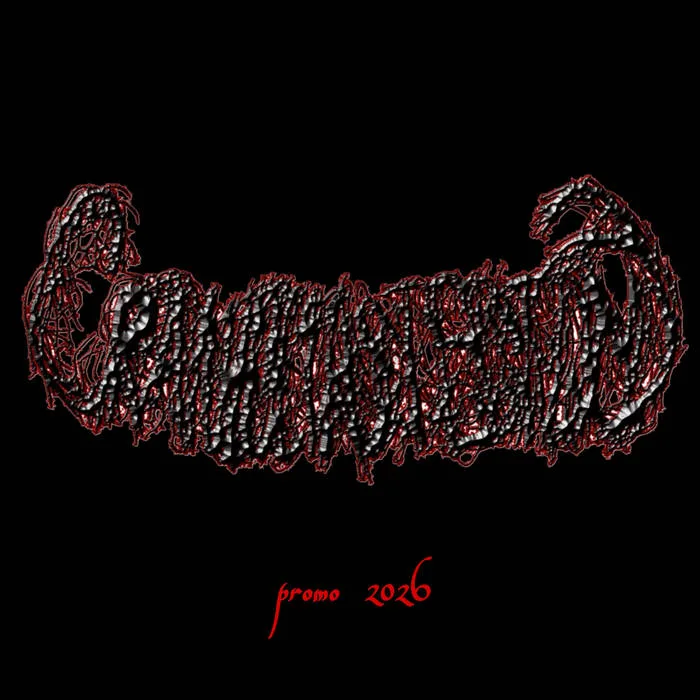 Promo 2026 cover