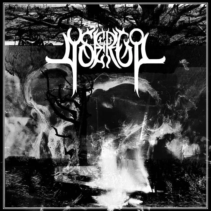 Lysergol cover