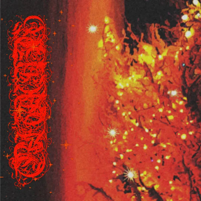 ✦.　　. 　 ˚ ✦　 . ★⋆.*　　 　　✦ cover