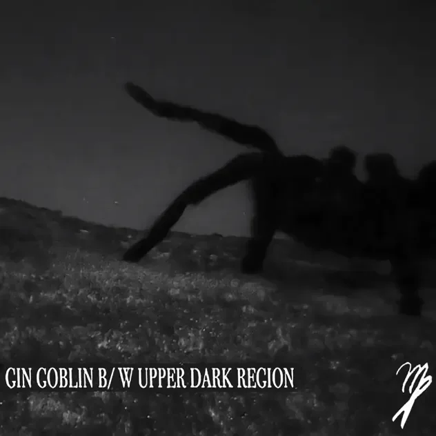 Gin Goblin / Upper Dark Region cover