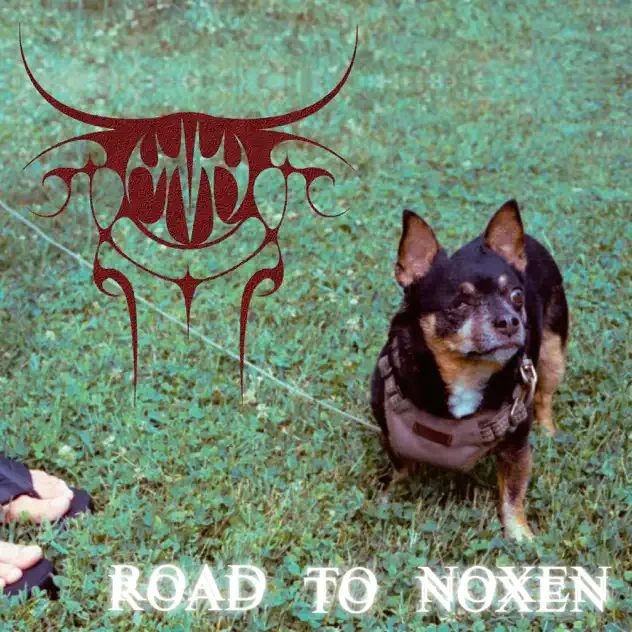 Road to Noxen cover