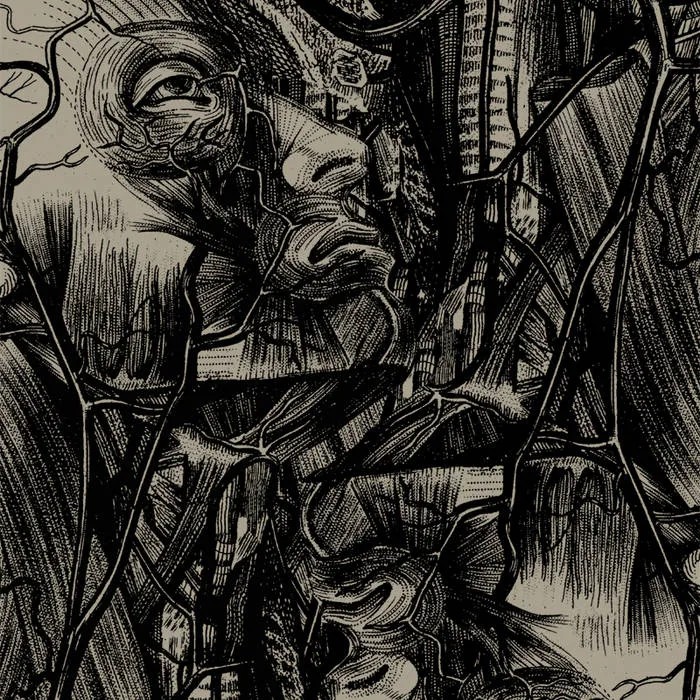 Black Horizons cover