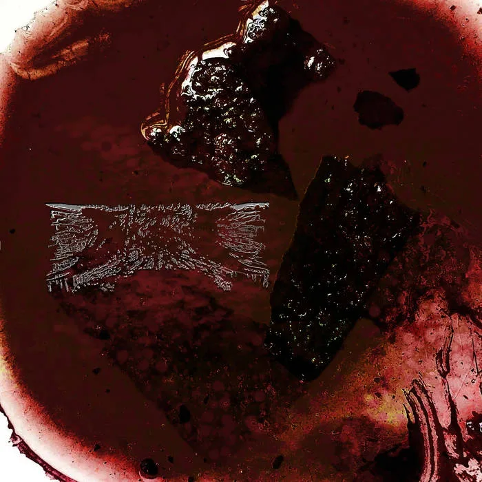 Skinnocent Regurgitation cover