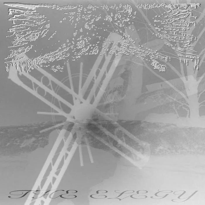 The Elegy cover