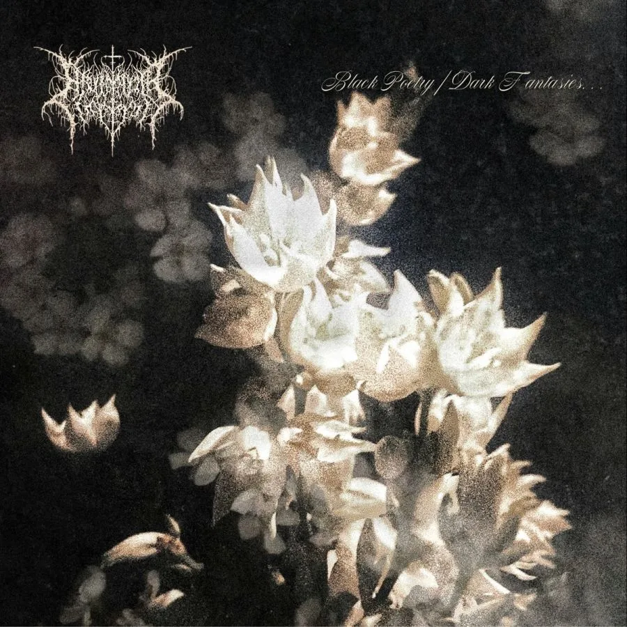 Black Poetry / Dark Fantasies cover