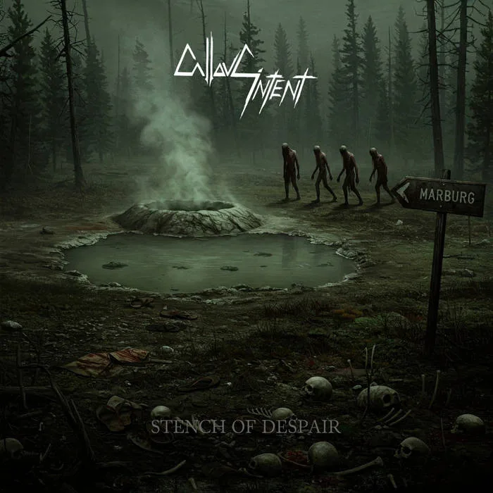 Stench of Despair cover