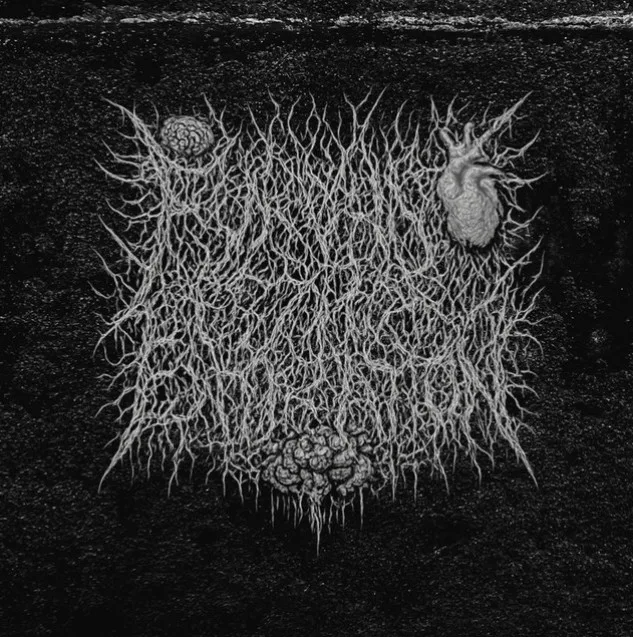 Internal Screams of Desperation cover