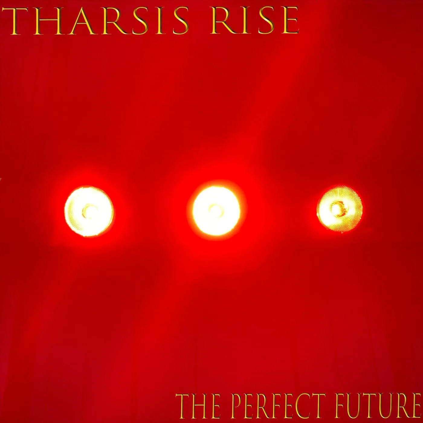The Perfect Future cover