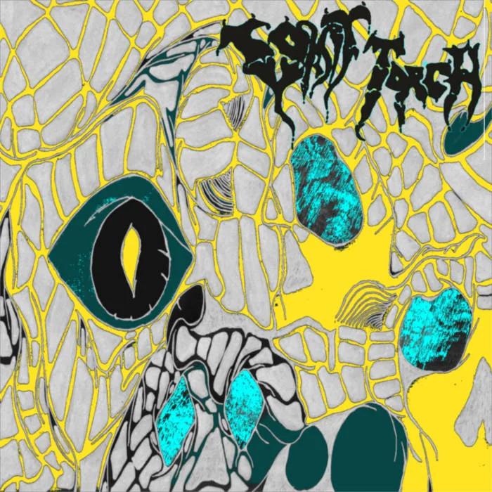 Vomit Torch cover