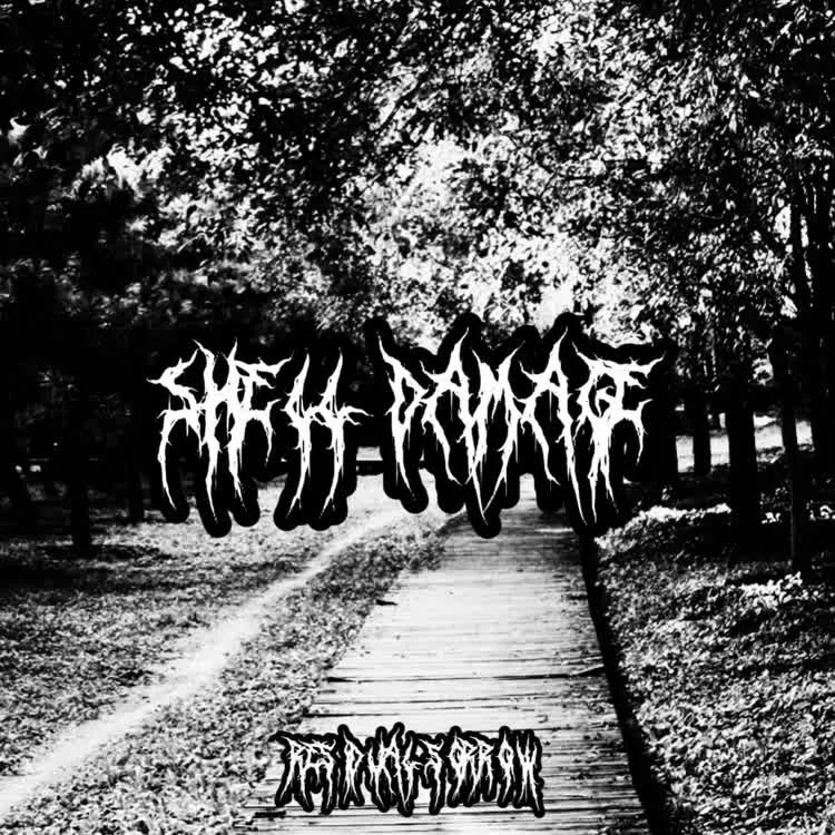Residual Sorrow cover