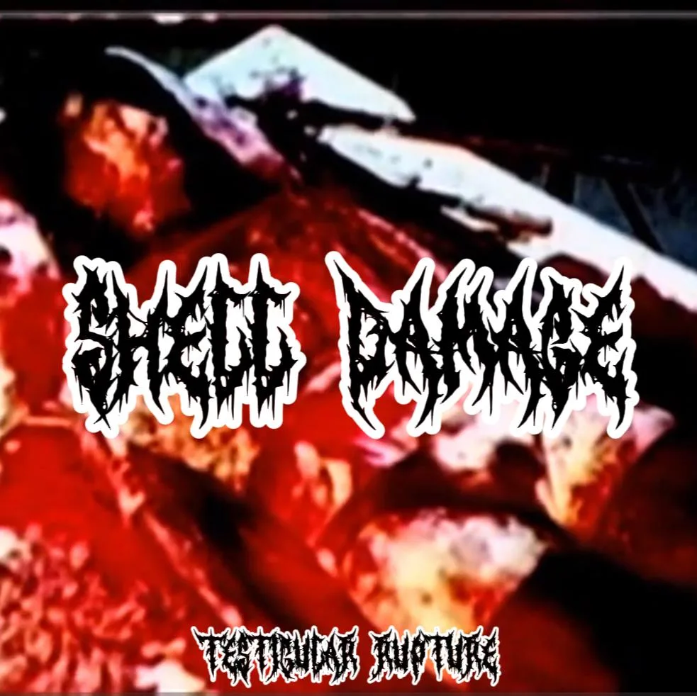 Testicular Rupture cover