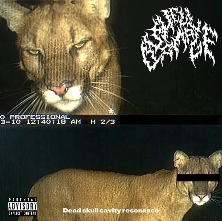 Dead Skull Cavity Resonance cover