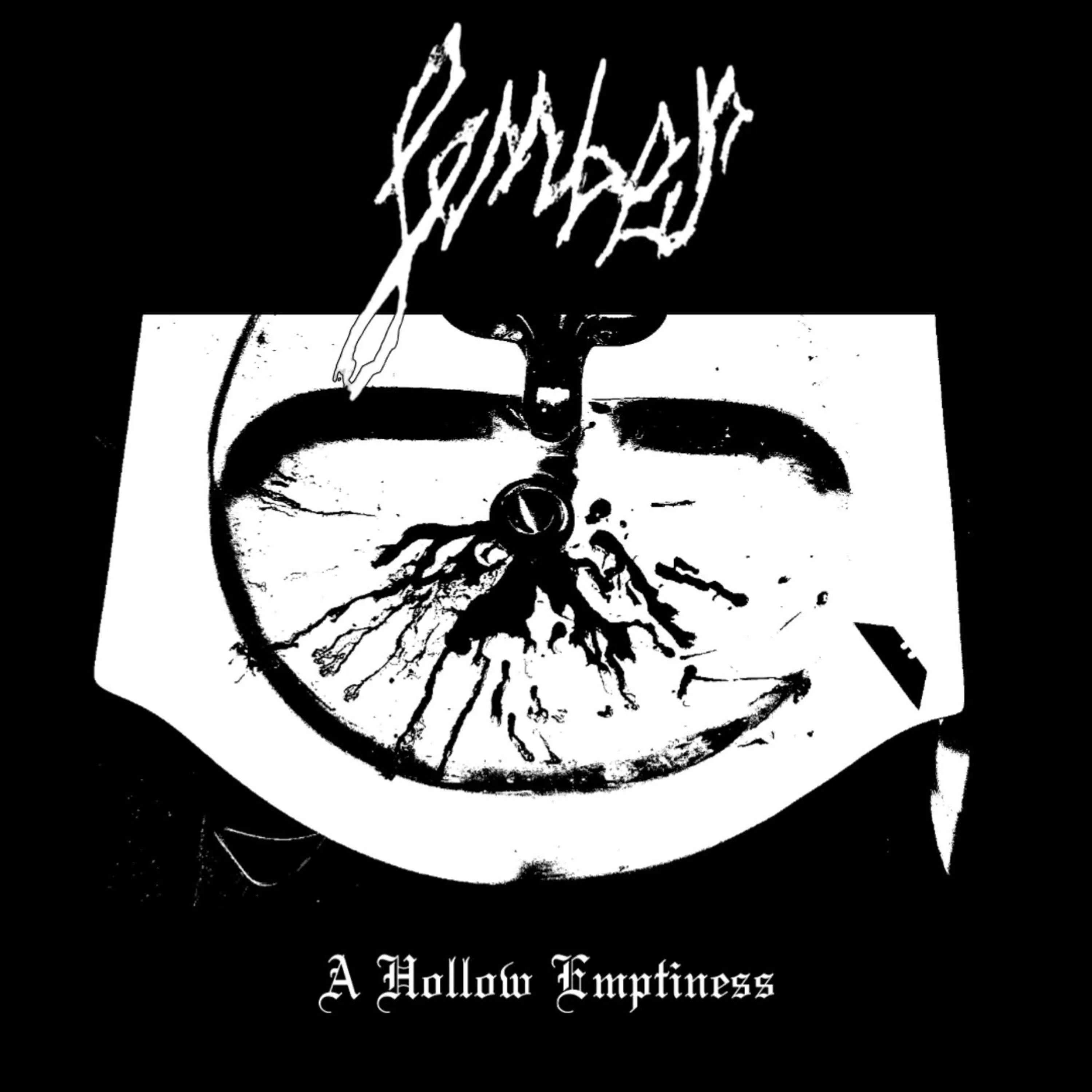 A Hollow Emptiness cover